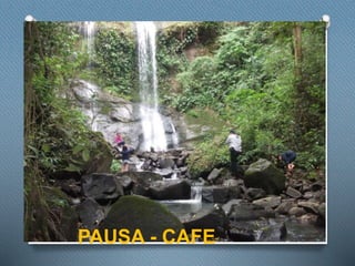PAUSA - CAFE
 