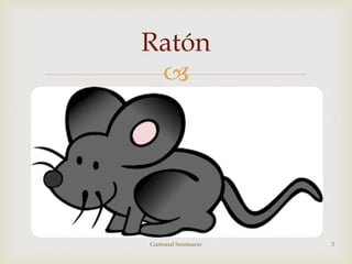 
Ratón
Gamonal Seminario 3
 