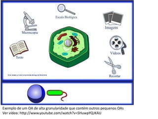 Exemplo de um OA de alta granularidade que contém outros pequenos OAs
Ver vídeo: http://www.youtube.com/watch?v=SHuwpYQJKAU
 