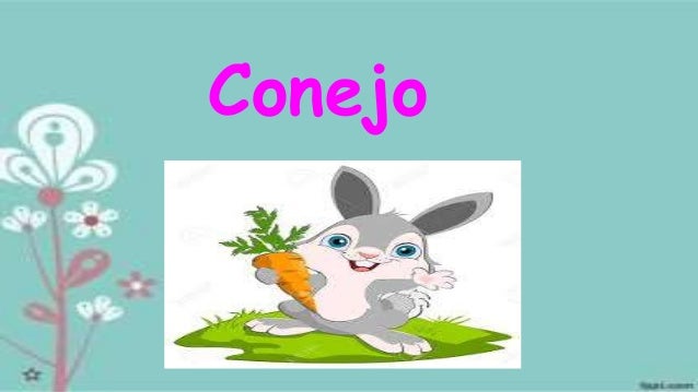 Objetos Con La Letra C