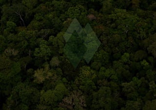 Objetosdafloresta workshop