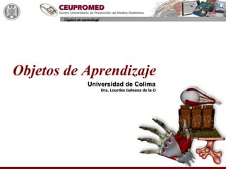Objetos de Aprendizaje
           Universidad de Colima
               Dra. Lourdes Galeana de la O
 