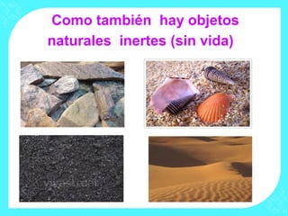 Como también hay objetos
naturales inertes (sin vida)
 