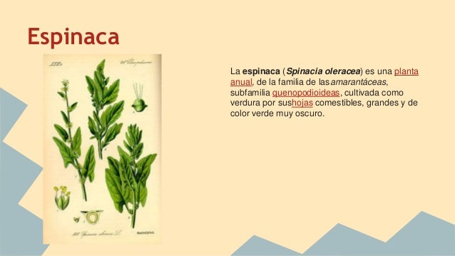 Objetos Que Empiezan Con La Letra E