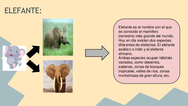 Objetos que empiezan con la letra e-