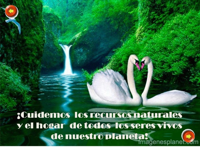 CARACTERÍSTICAS