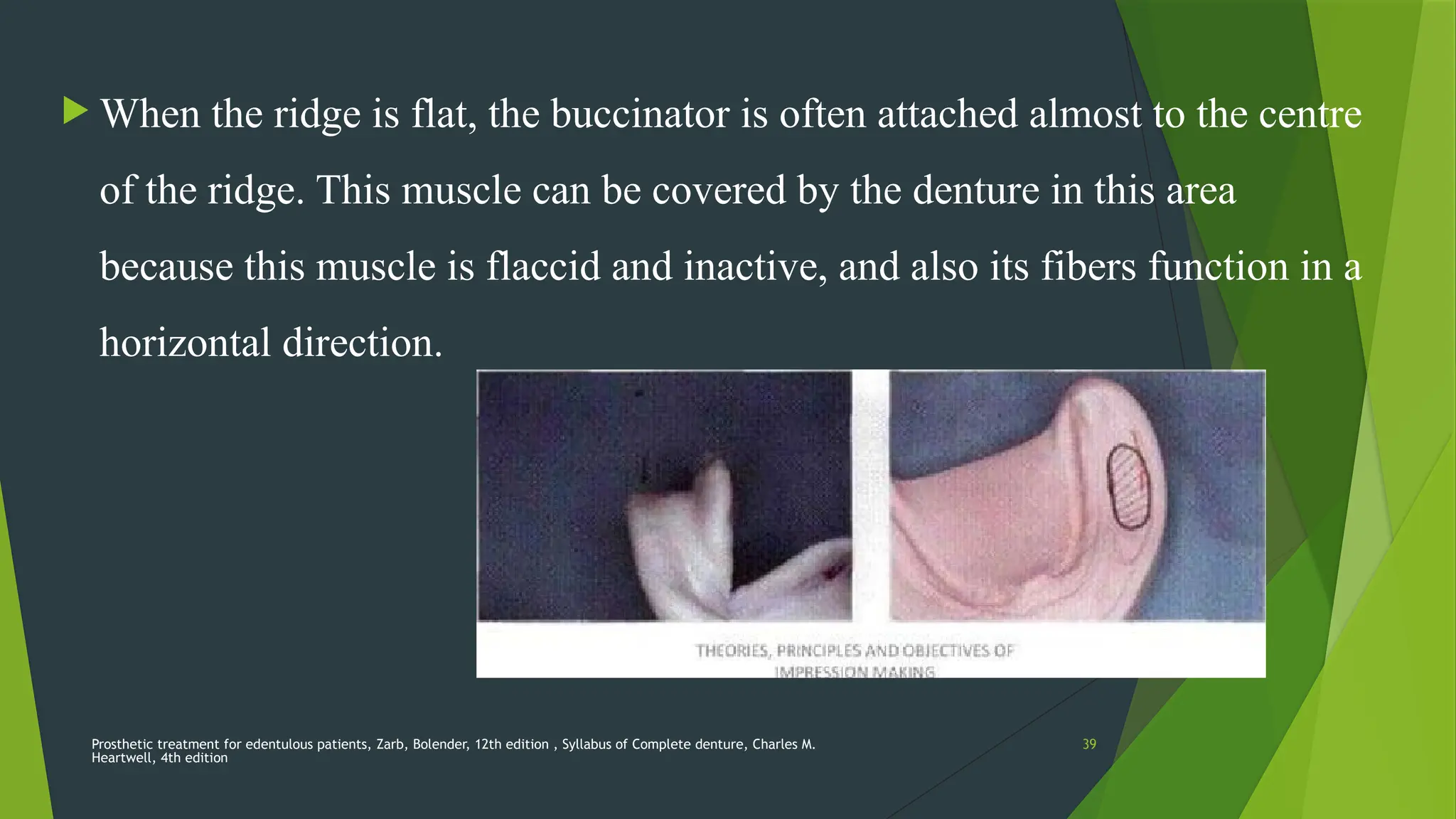 Prosthetic treatment for edentulous patients, Zarb, Bolender, 12th edition , Syllabus of Complete denture, Charles M.
Heartwell, 4th edition
39
 When the ridge is flat, the buccinator is often attached almost to the centre
of the ridge. This muscle can be covered by the denture in this area
because this muscle is flaccid and inactive, and also its fibers function in a
horizontal direction.
 