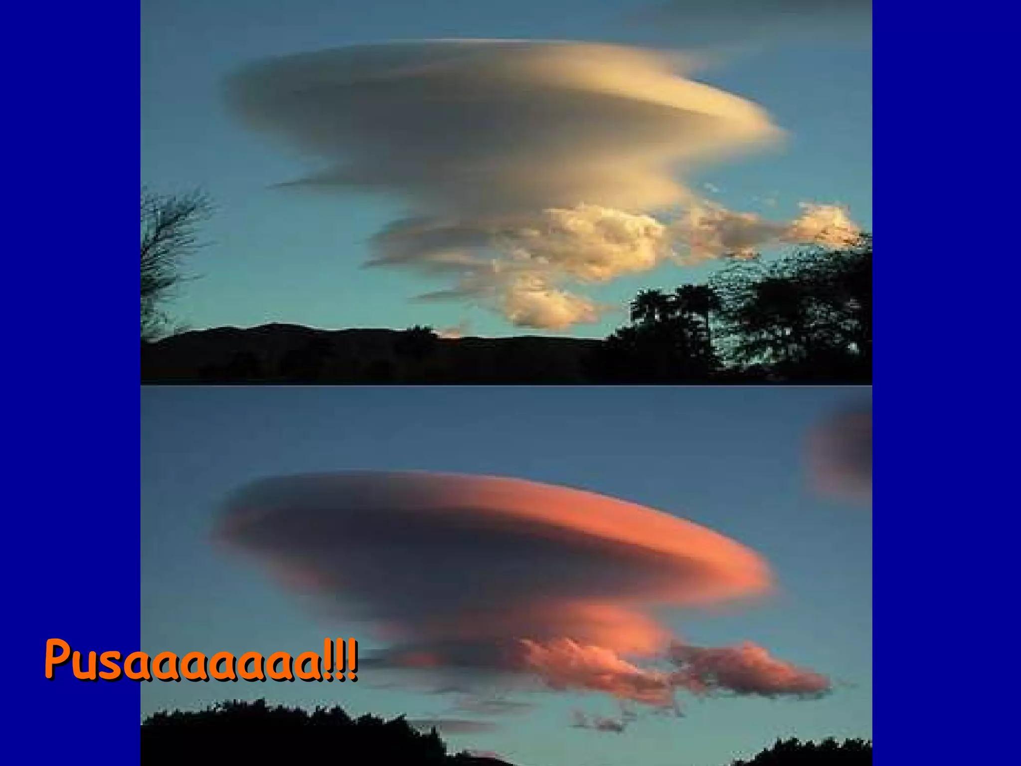 Pusaaaaaaa!!! 