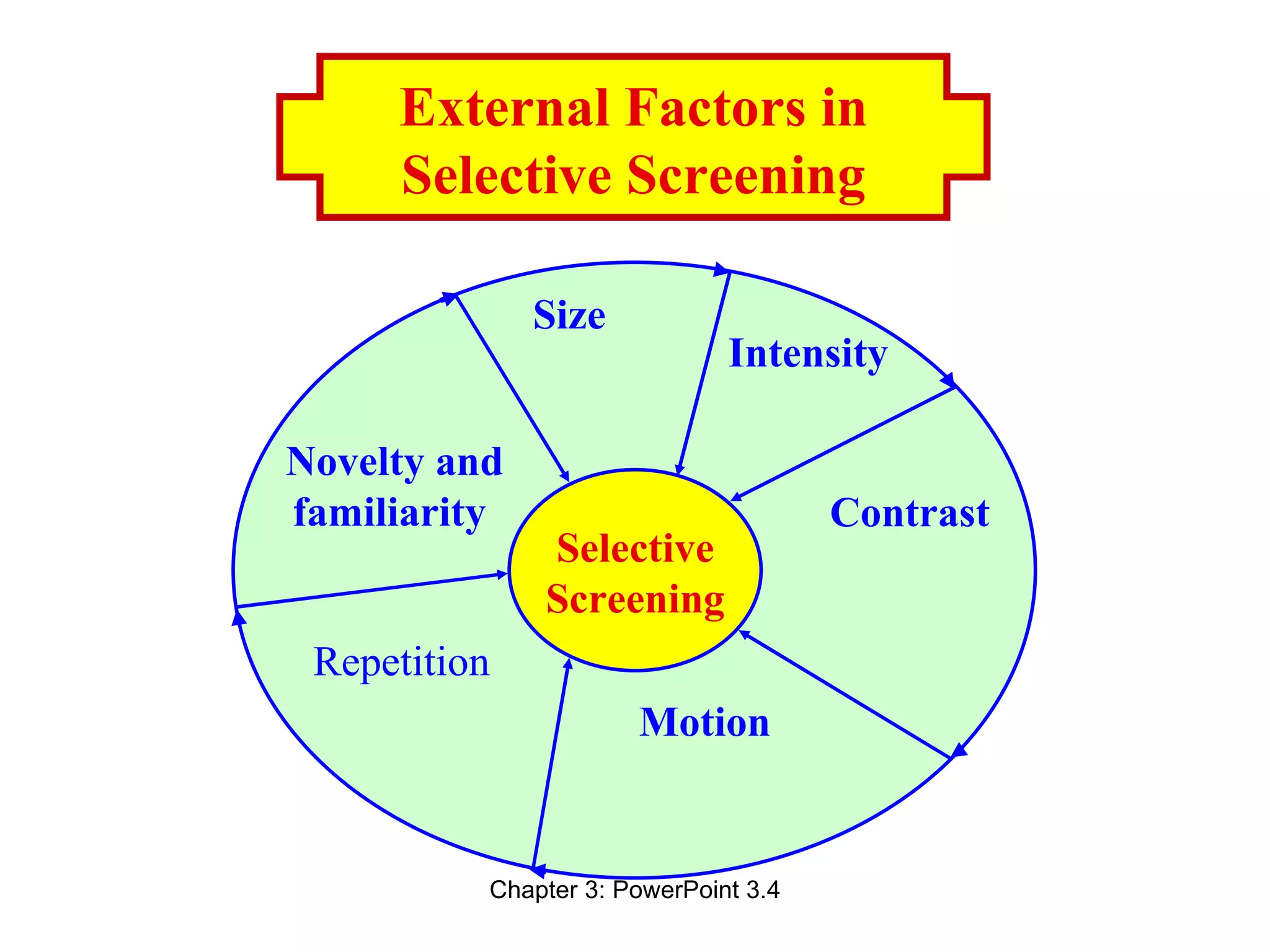 External Factors in
     Selective Screening

              Size
                              Intensity

Novelty and
familiarity                           Contrast
              Selective
              Screening
 Repetition
                      Motion


          Chapter 3: PowerPoint 3.4
 