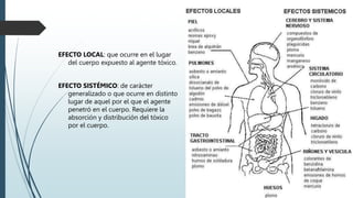 Efecto tóxico de una sustancia
EFECTO LOCAL: que ocurre en el lugar
del cuerpo expuesto al agente tóxico.
EFECTO SISTÉMICO: de carácter
generalizado o que ocurre en distinto
lugar de aquel por el que el agente
penetró en el cuerpo. Requiere la
absorción y distribución del tóxico
por el cuerpo.
rlijte@yahoo.com.ar
 