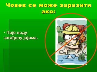 Човек се може заразити
ако:

• Пије воду
загађену јајима.

 