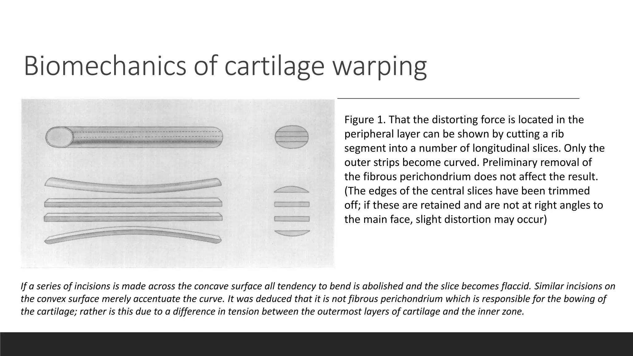 oblique-split-method-rib-cartilage-tastan-ppt-free-download