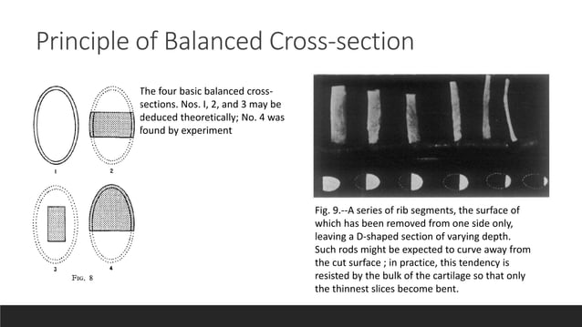 Split And Rib Method Oblique Split Method Rib Cartilage Tastan | PPT
