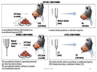 12/25/11 SANDHYA ANIL 