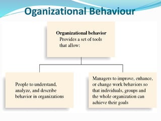 Organizational behaviour, nature & levels of organizational behaviour