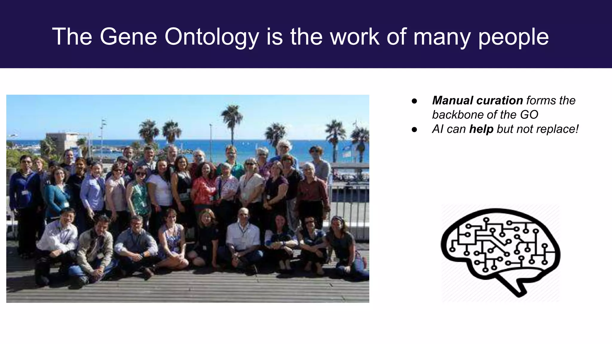 The Gene Ontology is the work of many people
● Manual curation forms the
backbone of the GO
● AI can help but not replace!
 