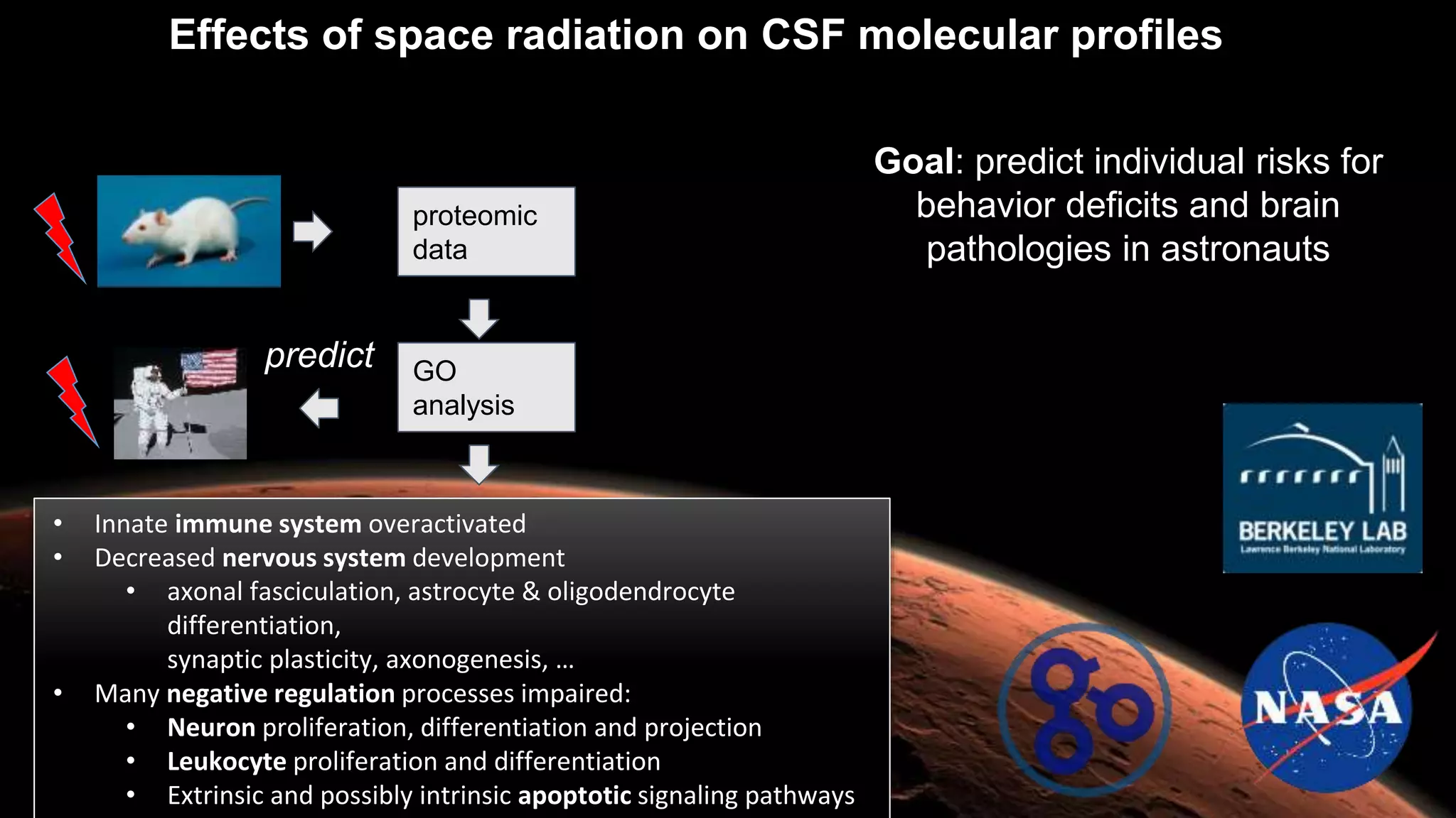 Effects of space radiation on CSF molecular profiles
• Innate immune system overactivated
• Decreased nervous system development
• axonal fasciculation, astrocyte & oligodendrocyte
differentiation,
synaptic plasticity, axonogenesis, …
• Many negative regulation processes impaired:
• Neuron proliferation, differentiation and projection
• Leukocyte proliferation and differentiation
• Extrinsic and possibly intrinsic apoptotic signaling pathways
Goal: predict individual risks for
behavior deficits and brain
pathologies in astronauts
proteomic
data
GO
analysis
predict
 