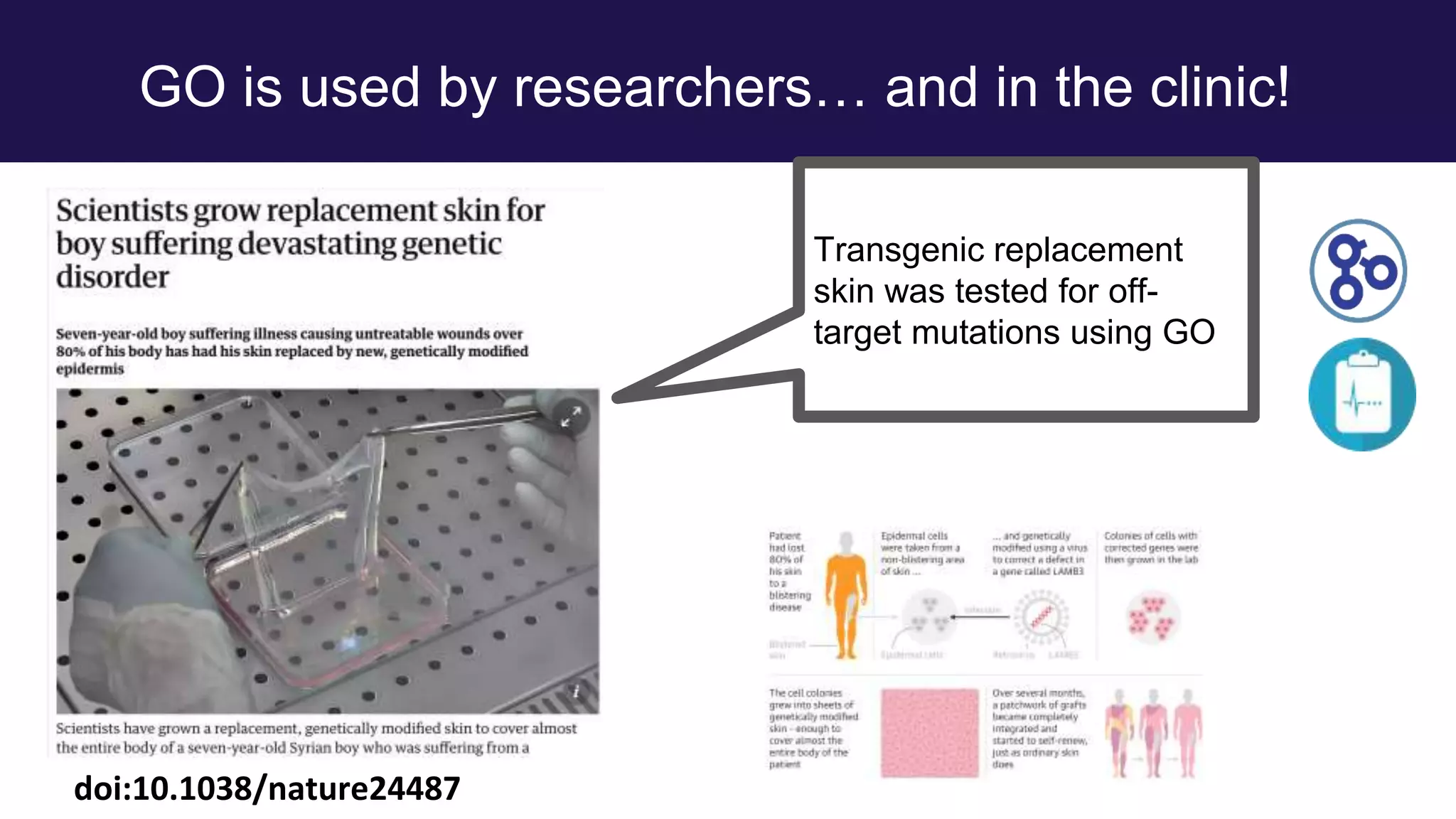 GO is used by researchers… and in the clinic!
doi:10.1038/nature24487
Transgenic replacement
skin was tested for off-
target mutations using GO
 