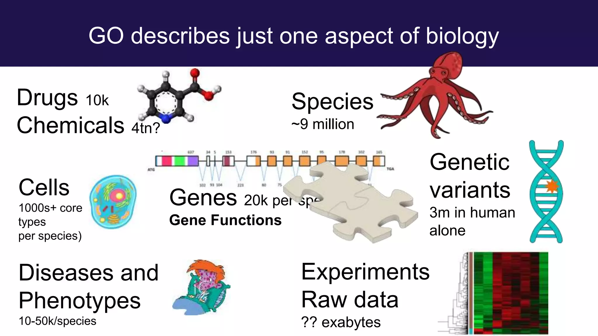 GO describes just one aspect of biology
Drugs 10k
Chemicals 4tn?
Species
~9 million
Diseases and
Phenotypes
10-50k/species
Cells
1000s+ core
types
per species)
Experiments
Raw data
?? exabytes
Genes 20k per species
Gene Functions
Genetic
variants
3m in human
alone
 