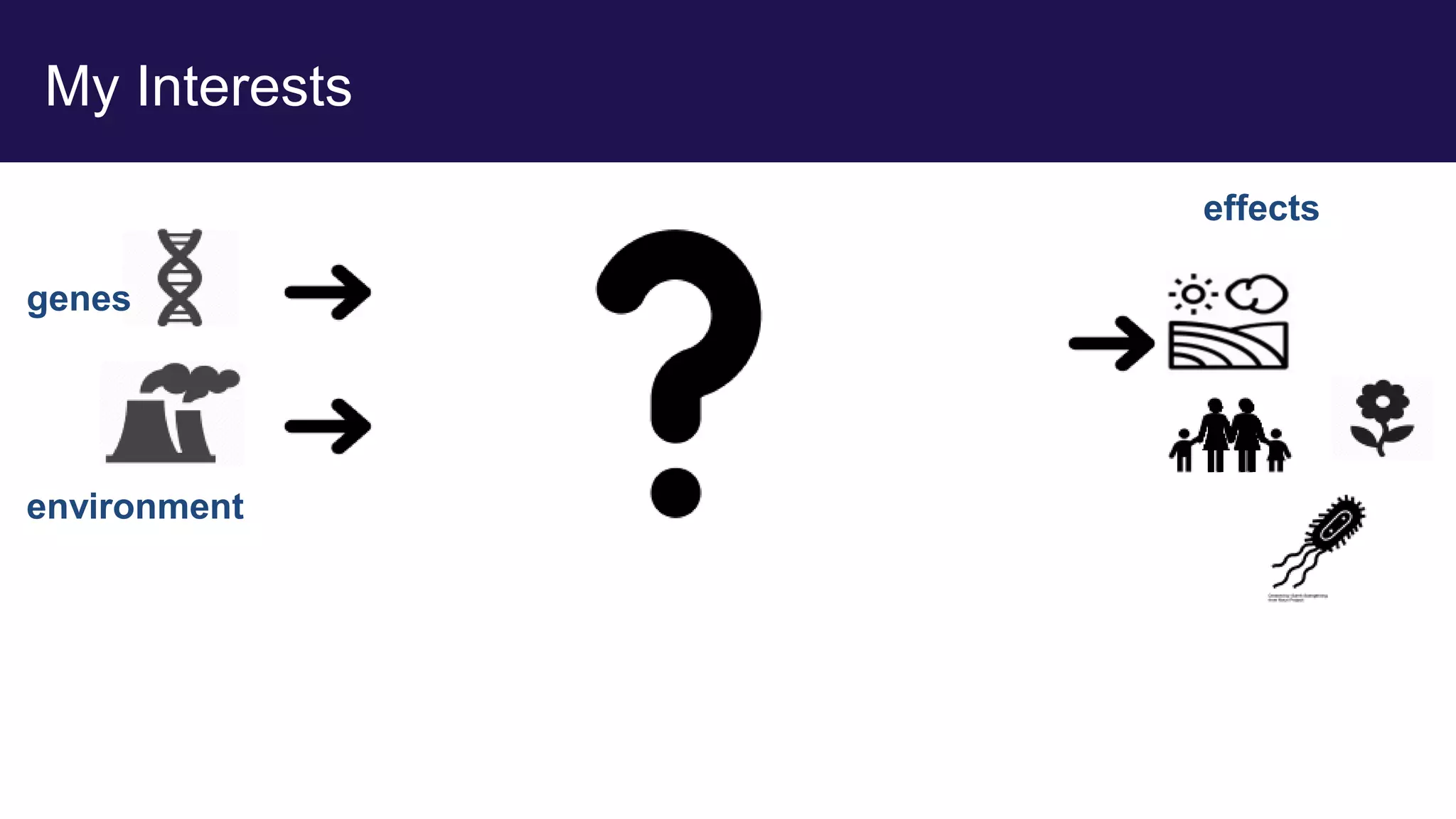 My Interests
genes
environment
effects
 
