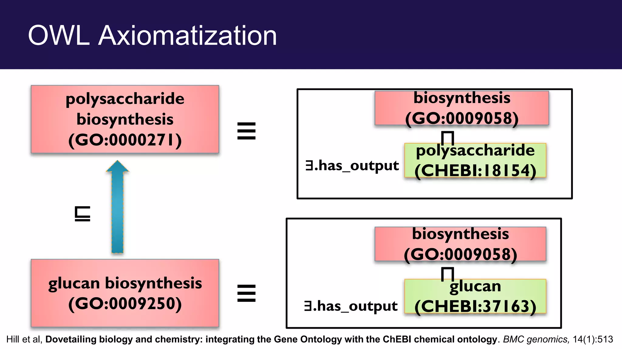 OWL Axiomatization
glucan biosynthesis
(GO:0009250)
polysaccharide
biosynthesis
(GO:0000271)
⊑
≡
biosynthesis
(GO:0009058)
glucan
(CHEBI:37163)
⊓
biosynthesis
(GO:0009058)
polysaccharide
(CHEBI:18154)
⊓
∃.has_output
≡
∃.has_output
Hill et al, Dovetailing biology and chemistry: integrating the Gene Ontology with the ChEBI chemical ontology. BMC genomics, 14(1):513
 