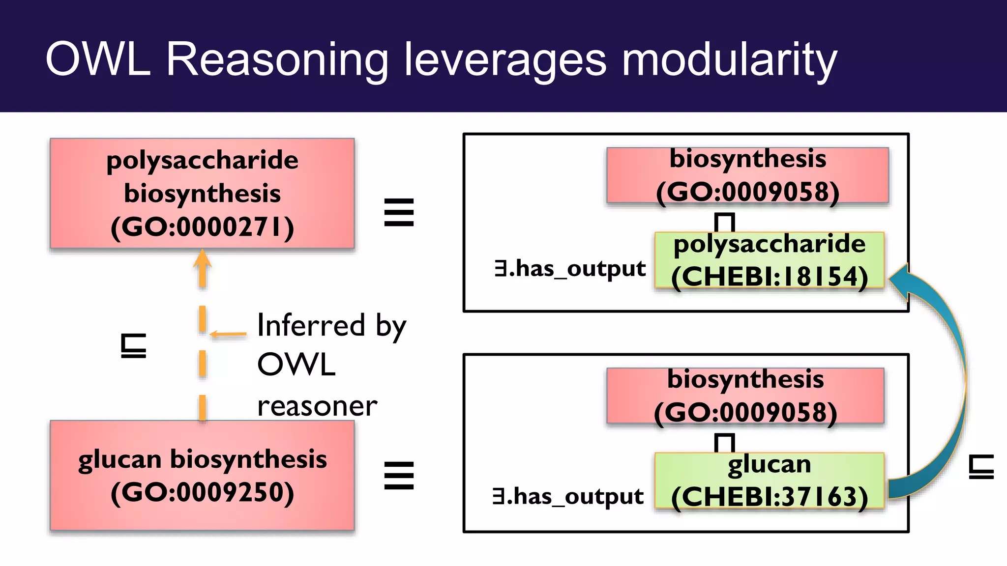 OWL Reasoning leverages modularity
glucan biosynthesis
(GO:0009250)
polysaccharide
biosynthesis
(GO:0000271)
⊑
≡
⊓
⊓
∃.has_output
≡
∃.has_output
⊑
Inferred by
OWL
reasoner
biosynthesis
(GO:0009058)
glucan
(CHEBI:37163)
biosynthesis
(GO:0009058)
polysaccharide
(CHEBI:18154)
 
