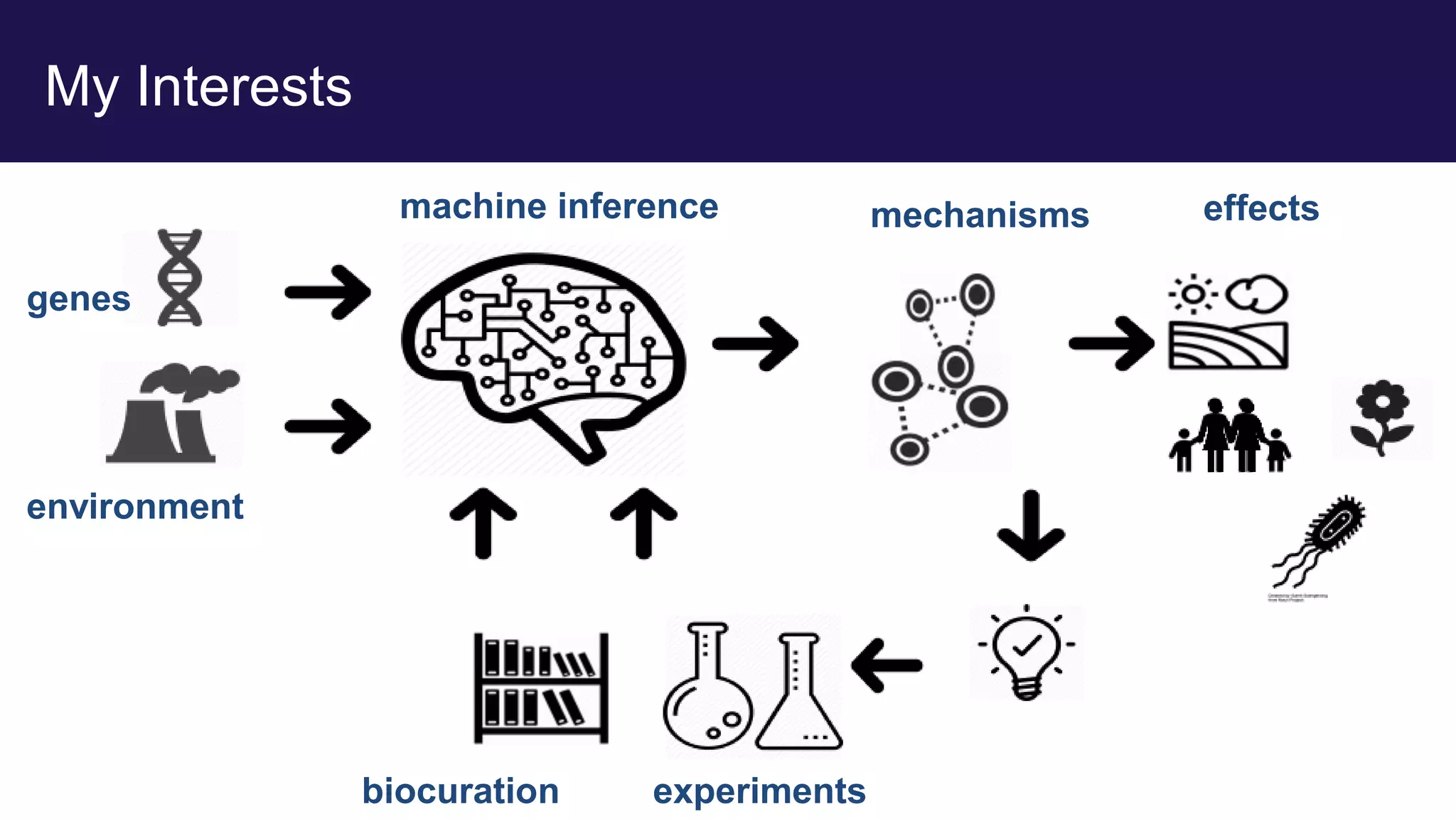 My Interests
genes
environment
biocuration
machine inference effects
mechanisms
experiments
 