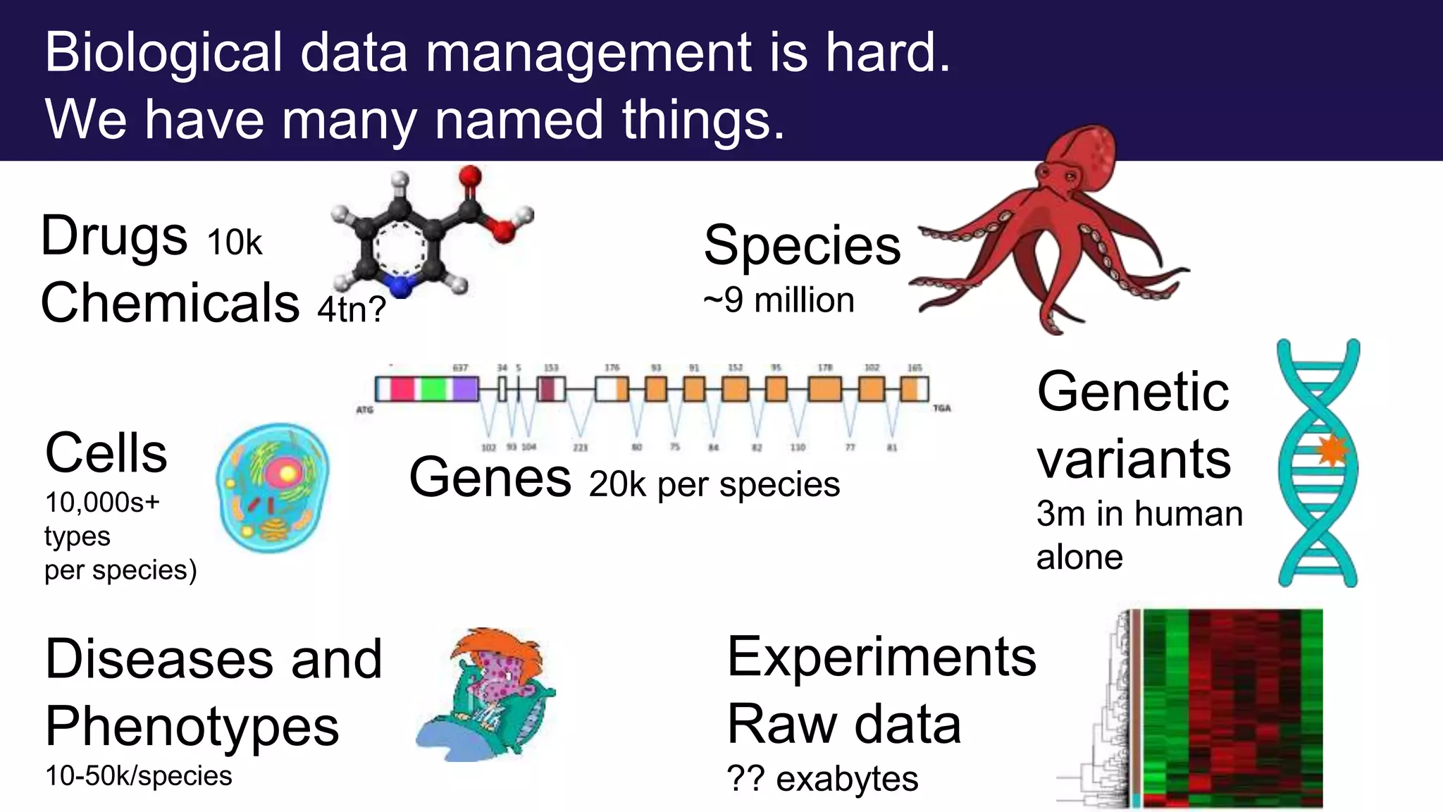 Biological data management is hard.
We have many named things.
Drugs 10k
Chemicals 4tn?
Species
~9 million
Diseases and
Phenotypes
10-50k/species
Cells
10,000s+
types
per species)
Experiments
Raw data
?? exabytes
Genes 20k per species
Genetic
variants
3m in human
alone
 