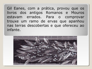 Gil Eanes, com a prática, provou que os
livros dos antigos Romanos e Mouros
estavam errados. Para o comprovar
trouxe um ramo de ervas que apanhou
nas terras descobertas e que ofereceu ao
infante.
 