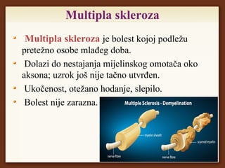 Multipla skleroza
Multipla skleroza je bolest kojoj podležu
pretežno osobe mlađeg doba.
Dolazi do nestajanja mijelinskog omotača oko
aksona; uzrok još nije tačno utvrđen.
Ukočenost, otežano hodanje, slepilo.
Bolest nije zarazna.
 