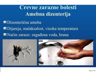 Crevne zarazne bolesti
Amebna dizenterija
Dizenterična ameba
Dijareja, malaksalost, visoka temperatura
Način zaraze: zagađena voda, hrana
 