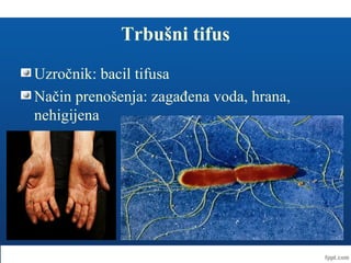 Trbušni tifus
Uzročnik: bacil tifusa
Način prenošenja: zagađena voda, hrana,
nehigijena
 