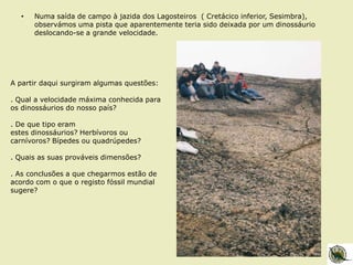 • Numa saída de campo à jazida dos Lagosteiros ( Cretácico inferior, Sesimbra),
observámos uma pista que aparentemente teria sido deixada por um dinossáurio
deslocando-se a grande velocidade.
A partir daqui surgiram algumas questões:
. Qual a velocidade máxima conhecida para
os dinossáurios do nosso país?
. De que tipo eram
estes dinossáurios? Herbívoros ou
carnívoros? Bípedes ou quadrúpedes?
. Quais as suas prováveis dimensões?
. As conclusões a que chegarmos estão de
acordo com o que o registo fóssil mundial
sugere?
 