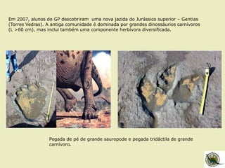 Em 2007, alunos do GP descobriram uma nova jazida do Jurássico superior – Gentias
(Torres Vedras). A antiga comunidade é dominada por grandes dinossáurios carnívoros
(L >60 cm), mas inclui também uma componente herbívora diversificada.
Pegada de pé de grande sauropode e pegada tridáctila de grande
carnívoro.
 