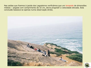 Nas saídas que fizemos à jazida dos Lagosteiros verificámos que um teropode de dimensões
médias – pegada com comprimento de 32 cm, devia progredir a velocidade elevada. Esta
conclusão baseava-se apenas numa observação direta.
 
