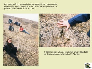 Os dados métricos que obtivemos permitiram reforçar esta
observação - para pegadas com 32 cm de comprimento, a
passada varia entre 3,3m e 4,2m.
A partir destes valores inferimos uma velocidade
de deslocação na ordem dos 15,5km/h.
 