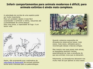Inferir comportamentos para animais modernos é difícil; para
animais extintos é ainda mais complexo.
Quando visitamos exposições de
dinossáurios observamos ossos, mais
ossos, mais ossos, utilizados para a
reconstrução dessas criaturas antigas.
Mas mesmo nas suas poses mais ativas,
os esqueletos parecem inertes,
assemelhando-se mais a esculturas do
que aos animais vivos que os deixaram.
Felizmente, os dinossáurios deixaram-nos
muito mais do que apenas os seus ossos.
A velocidade de corrida de uma espécie pode
ser muito importante.
Para um predador rápido é mais fácil
surpreender e confundir a vítima, reduzindo até
a possibilidade de contra-ataque.
Para uma presa, a capacidade de fuga é um
factor vital.
Assim, não surpreende que a estimativa da
velocidade de deslocação de animais extintos
tenha tanto interesse para os paleontólogos.
 