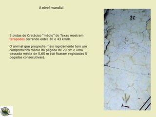 A nível mundial
3 pistas do Cretácico “médio” do Texas mostram
teropodes correndo entre 30 e 43 km/h.
O animal que progredia mais rapidamente tem um
comprimento médio da pegada de 29 cm e uma
passada média de 5,65 m (só ficaram registadas 5
pegadas consecutivas).
 