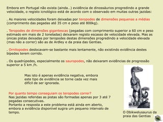 Embora em Portugal não exista (ainda…) evidência de dinossáurios progredindo a grande
velocidade, o registo icnológico está de acordo com o observado em muitas outras jazidas:
. As maiores velocidades foram deixadas por teropodes de dimensões pequenas a médias
(comprimento das pegadas até 35 cm e peso até 800kg).
. Teropodes de dimensões gigantescas (pegadas com comprimento superior a 60 cm e peso
estimado em mais de 2 toneladas) deixaram registo escasso de velocidade elevada. Mas as
únicas pistas deixadas por teropodes destas dimensões progredindo a velocidade elevada
(mas não a correr) são as de Ardley e da praia das Gentias.
. Ornitopodes deslocavam-se bastante mais lentamente, não existindo evidência destes
bípedes terem corrido.
. Os quadrúpedes, especialmente os sauropodes, não deixaram evidências de progressão
superior a 5 km /h.
Mas isto é apenas evidência negativa, embora
este tipo de evidência se torne cada vez mais
difícil de ser ignorada.
Por quanto tempo conseguiam os teropodes correr?
Nas jazidas referidas as pistas são formadas apenas por 3 até 7
pegadas consecutivas.
Portanto a resposta a este problema está ainda em aberto,
embora a evidência disponível sugira um pequeno intervalo de
tempo. O Obikwelusaurus da
praia das Gentias
 