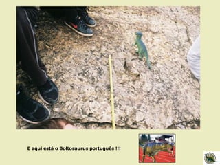 E aqui está o Boltosaurus português !!!
 