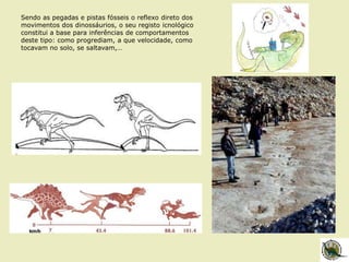 Sendo as pegadas e pistas fósseis o reflexo direto dos
movimentos dos dinossáurios, o seu registo icnológico
constitui a base para inferências de comportamentos
deste tipo: como progrediam, a que velocidade, como
tocavam no solo, se saltavam,…
 