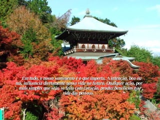 *       Em tudo, o nosso sentimento é o que importa. A intenção, boa ou má, influencia diretamente nossa vida no futuro. Qualquer ação, por mais simples que seja, se feita com coração, produz benefícios na vida das pessoas.  