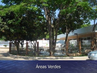 Áreas Verdes 