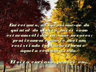 Ent ret ant o, ao aproxi mar-me doEnt ret ant o, ao aproxi mar-me do
qui nt al do médi co, not ei comoqui nt al do médi co, not ei como
es t avams ól i das as s uas árvores :es t avams ól i das as s uas árvores :
prat i cament e não s e movi am,prat i cament e não s e movi am,
res i s t i ndo i mpl acavel ment eres i s t i ndo i mpl acavel ment e
àquel a vent ani a t oda.àquel a vent ani a t oda.
Ef ei t o curi os o, pens ei eu...Ef ei t o curi os o, pens ei eu...
 