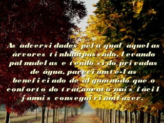 As advers i dades pel a qual aquel asAs advers i dades pel a qual aquel as
árvores t i nhampas s ado, l evandoárvores t i nhampas s ado, l evando
pal madel as e t endo s i do pri vadaspal madel as e t endo s i do pri vadas
de água, pareci amt ê-l asde água, pareci amt ê-l as
benef i ci ado de al gummodo que obenef i ci ado de al gummodo que o
conf ort o do t rat ament o mai s f áci lconf ort o do t rat ament o mai s f áci l
j amai s cons egui ri amf azer.j amai s cons egui ri amf azer.
 