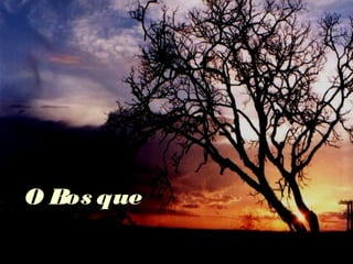 O Bos queO Bos que
 