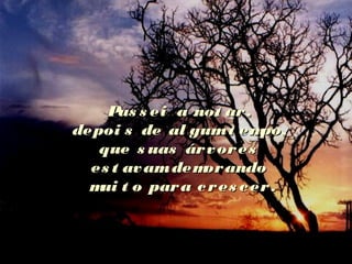 Pas s ei a not ar,Pas s ei a not ar,
depoi s de al gumt empo,depoi s de al gumt empo,
que s uas árvoresque s uas árvores
es t avamdemorandoes t avamdemorando
mui t o para cres cer.mui t o para cres cer.
 