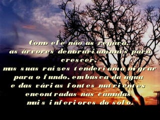 Como el e não as regava,Como el e não as regava,
as árvores demorari ammai s paraas árvores demorari ammai s para
cres cer,cres cer,
mas s uas raí zes t enderi ama mi grarmas s uas raí zes t enderi ama mi grar
para o f undo, embus ca da águapara o f undo, embus ca da água
e das vári as f ont es nut ri ent ese das vári as f ont es nut ri ent es
encont radas nas camadasencont radas nas camadas
mai s i nf eri ores do s ol o.mai s i nf eri ores do s ol o.
 