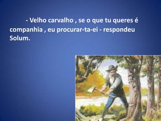 - Velho carvalho , se o que tu queres é companhia , eu procurar-ta-ei - respondeu Solum.