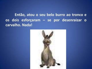Então, atou o seu belo burro ao tronco e os dois esforçaram – se por desenraizar o carvalho. Nada!